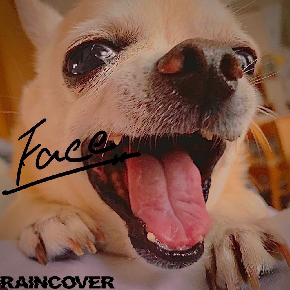 RAINCOVER