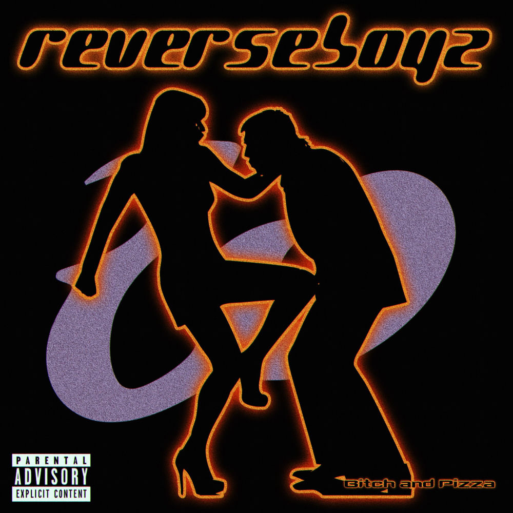ReVERSE BOYZ
