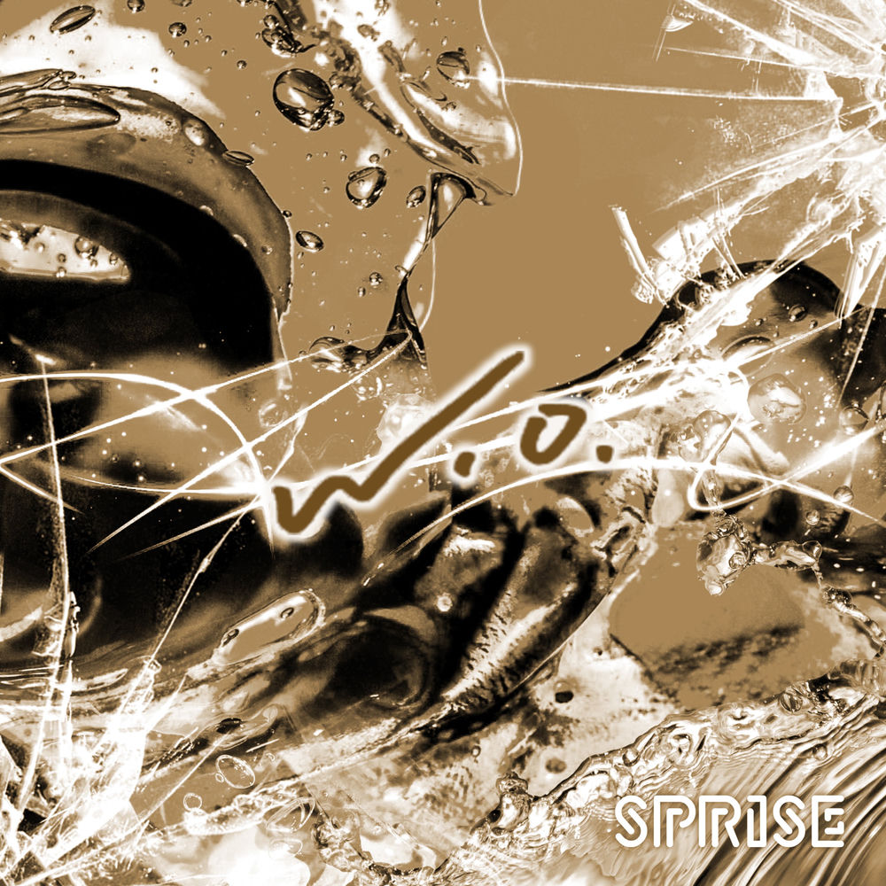 SPRISE